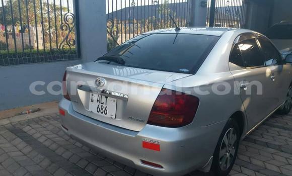 Buy Used Toyota Allion Silver Car in Lusaka in Zambia Buy Used Toyota Allion Silver Car in Lusaka in Zambia