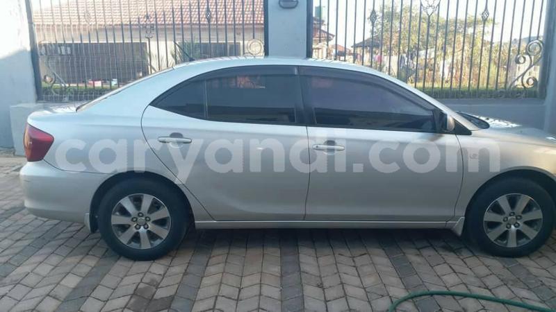 Big with watermark 55935246 2286833544738461 5646865564459597824 o