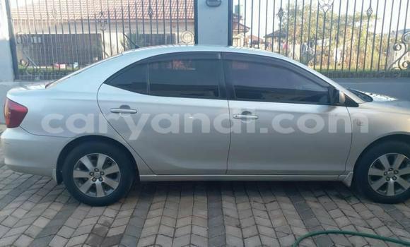 Buy Used Toyota Allion Silver Car in Lusaka in Zambia Buy Used Toyota Allion Silver Car in Lusaka in Zambia