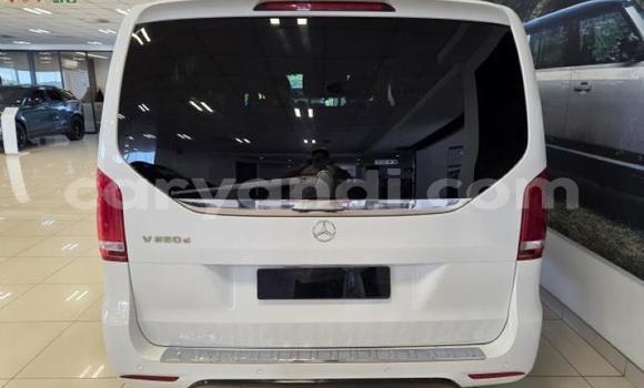 Buy Used Mercedes‒Benz V-klasse White Car in Lusaka in Zambia Buy Used Mercedes‒Benz V-klasse White Car in Lusaka in Zambia
