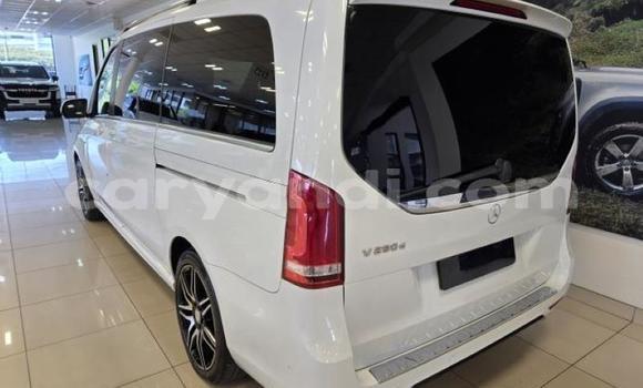 Buy Used Mercedes‒Benz V-klasse White Car in Lusaka in Zambia Buy Used Mercedes‒Benz V-klasse White Car in Lusaka in Zambia