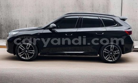 Tenga Tsaru BMW X1 Nhema Mota in Lusaka in Zambia Tenga Tsaru BMW X1 Nhema Mota in Lusaka in Zambia