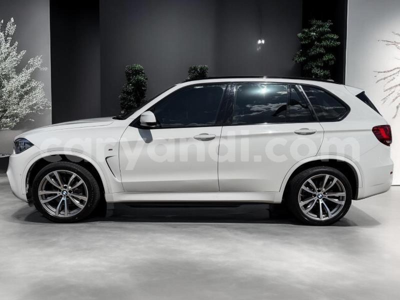 Big with watermark bmw x5 zambia lusaka 30994