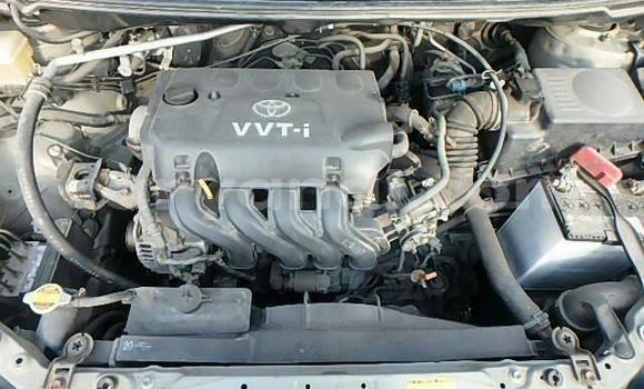 Buy Used Toyota Spacio Other Car in Lusaka in Zambia Buy Used Toyota Spacio Other Car in Lusaka in Zambia