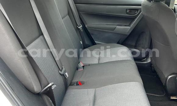 Tenga Tsaru Toyota Corolla Chena Mota in Lusaka in Zambia Tenga Tsaru Toyota Corolla Chena Mota in Lusaka in Zambia