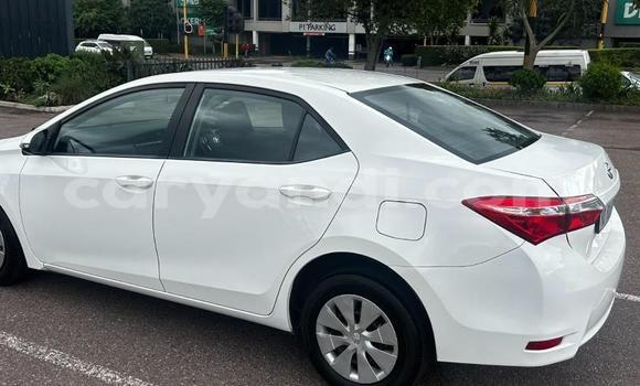 Tenga Tsaru Toyota Corolla Chena Mota in Lusaka in Zambia Tenga Tsaru Toyota Corolla Chena Mota in Lusaka in Zambia