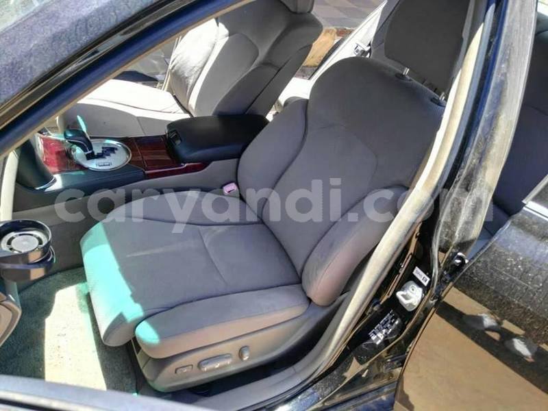 Big with watermark 56232920 2279981358757013 6865911475022594048 n