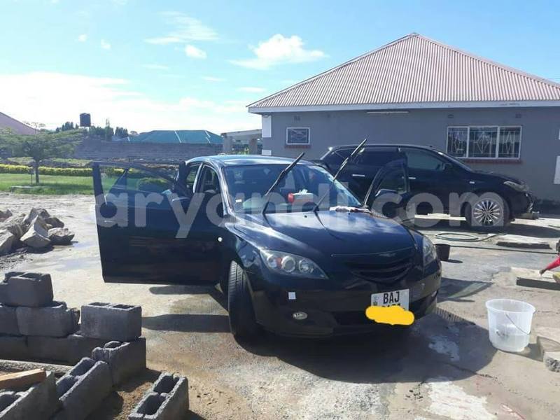 Big with watermark 54728458 2271064026315413 3572507381101232128 n