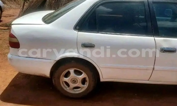 Buy Used Toyota Corolla White Car in Lusaka in Zambia