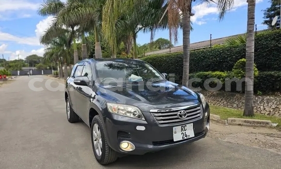 Buy Used Toyota Vanguard Other Car in Lusaka in Zambia Buy Used Toyota Vanguard Other Car in Lusaka in Zambia
