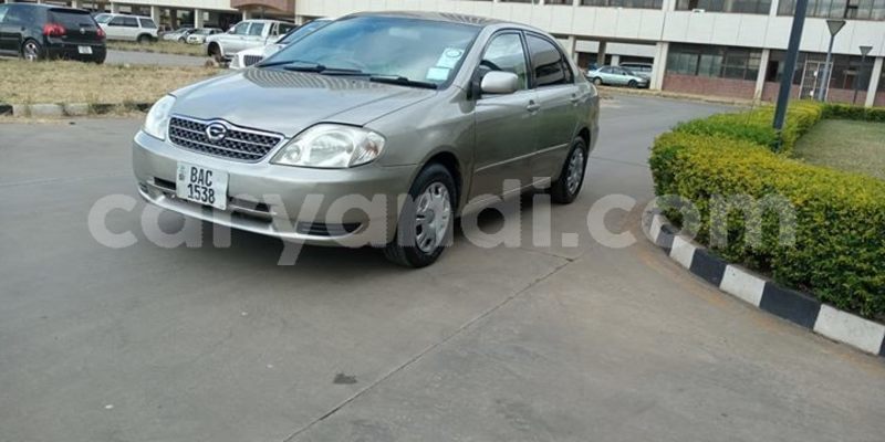 Big with watermark 56502776 574810566261115 6128917270535077888 o