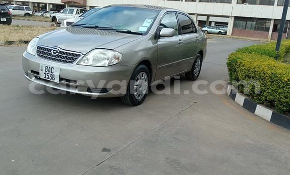 Buy Used Toyota Corolla Silver Car in Lusaka in Zambia Buy Used Toyota Corolla Silver Car in Lusaka in Zambia