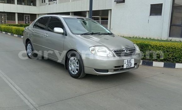 Buy Used Toyota Corolla Silver Car in Lusaka in Zambia Buy Used Toyota Corolla Silver Car in Lusaka in Zambia