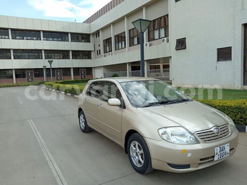 Big with watermark 55480103 568923540183151 3276105838258814976 n