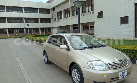 Buy Used Toyota Runx Beige Car in Lusaka in Zambia Buy Used Toyota Runx Beige Car in Lusaka in Zambia