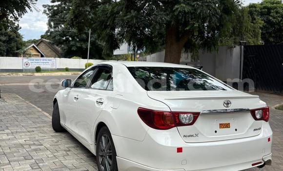 Tenga Itsva Toyota Mark X Chena Mota in Lusaka in Zambia Tenga Itsva Toyota Mark X Chena Mota in Lusaka in Zambia