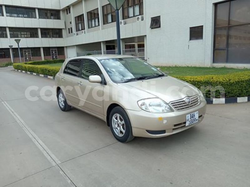 Big with watermark 55887849 568923486849823 7306231474963873792 n