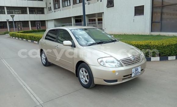 Buy Used Toyota Runx Beige Car in Lusaka in Zambia Buy Used Toyota Runx Beige Car in Lusaka in Zambia