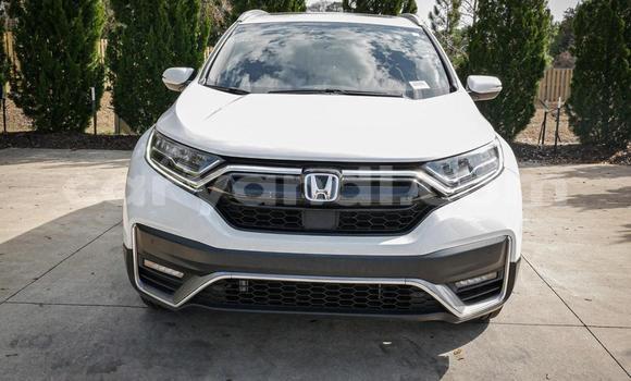 Buy Used Honda CR–V White Car in Lusaka in Zambia Buy Used Honda CR–V White Car in Lusaka in Zambia