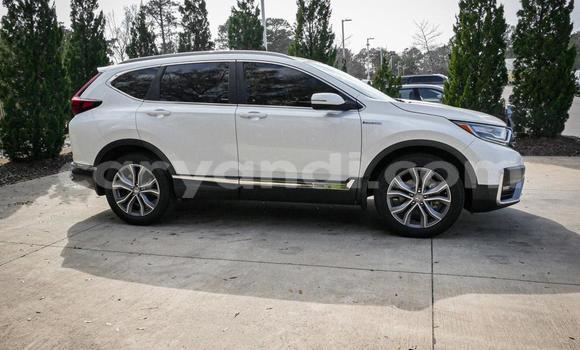 Buy Used Honda CR–V White Car in Lusaka in Zambia Buy Used Honda CR–V White Car in Lusaka in Zambia