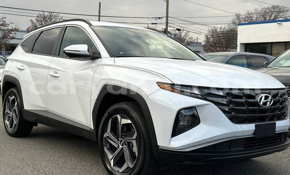 Buy Used Hyundai Tucson White Car in Lusaka in Zambia
