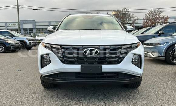 Buy Used Hyundai Tucson White Car in Lusaka in Zambia Buy Used Hyundai Tucson White Car in Lusaka in Zambia