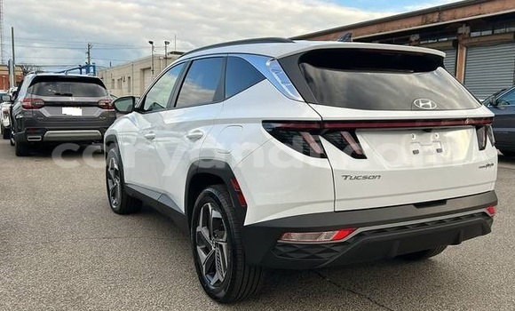 Buy Used Hyundai Tucson White Car in Lusaka in Zambia Buy Used Hyundai Tucson White Car in Lusaka in Zambia