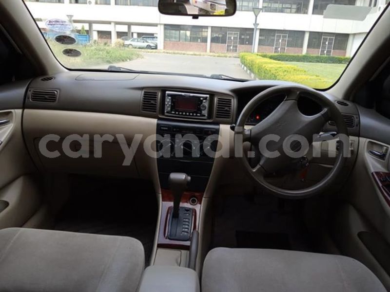 Big with watermark 55543696 568038083605030 619578483038748672 n