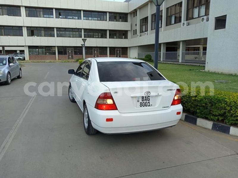 Big with watermark 55881722 568038066938365 990014400091914240 n