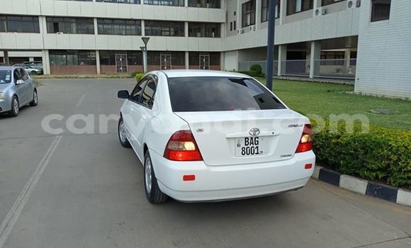 Buy Used Toyota Corolla White Car in Lusaka in Zambia Buy Used Toyota Corolla White Car in Lusaka in Zambia