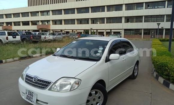 Buy Used Toyota Corolla White Car in Lusaka in Zambia Buy Used Toyota Corolla White Car in Lusaka in Zambia