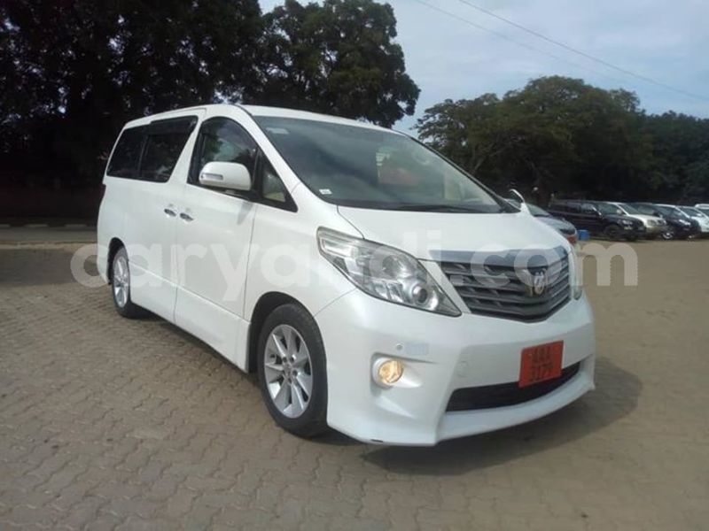 Big with watermark 53229665 558998781175627 5887674240328531968 n