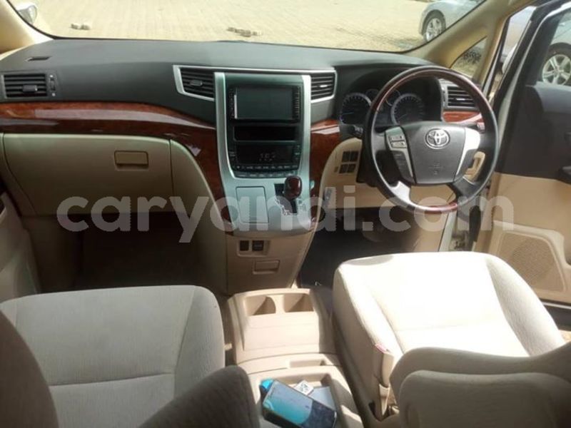 Big with watermark 53278962 558998857842286 147443645996335104 n