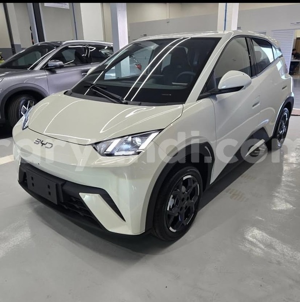 Big with watermark byd seagull zambia lusaka 31102