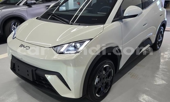 Buy Used BYD Seagull White Car in Lusaka in Zambia