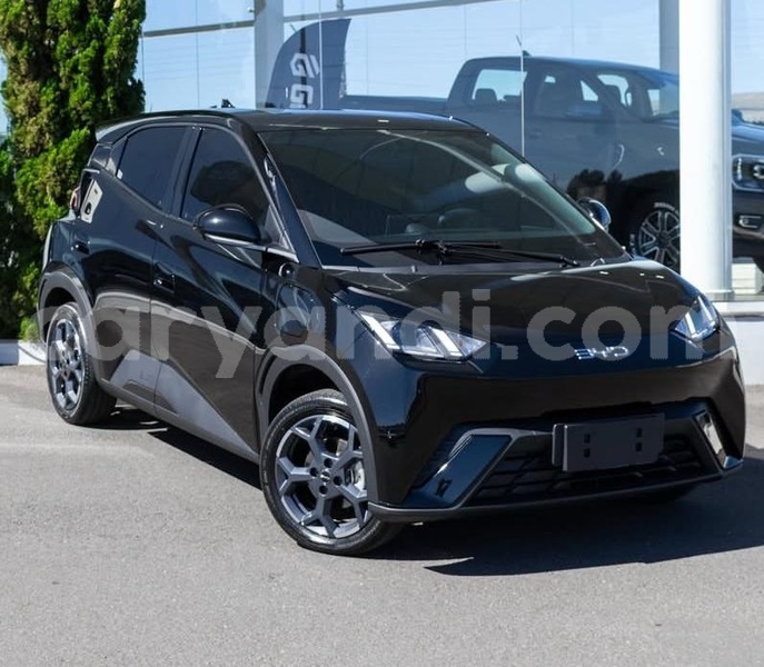 Big with watermark byd seagull zambia lusaka 31102