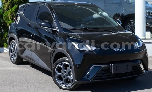 Tenga Tsaru BYD Seagull Chena Mota in Lusaka in Zambia Tenga Tsaru BYD Seagull Chena Mota in Lusaka in Zambia