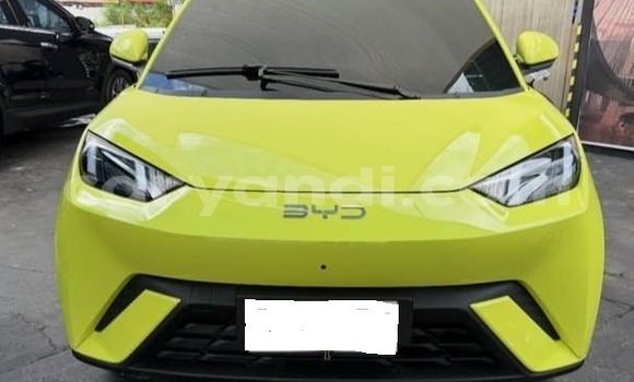 Tenga Tsaru BYD Seagull Chena Mota in Lusaka in Zambia Tenga Tsaru BYD Seagull Chena Mota in Lusaka in Zambia