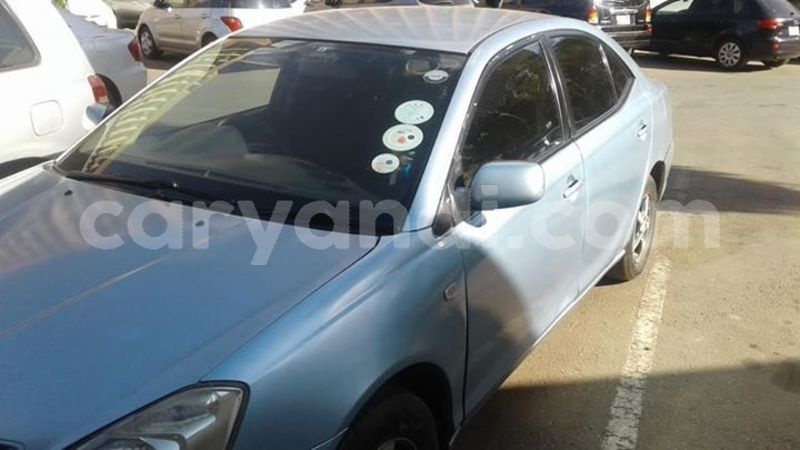 Big with watermark 57004912 2004323386360413 69794275121954816 n