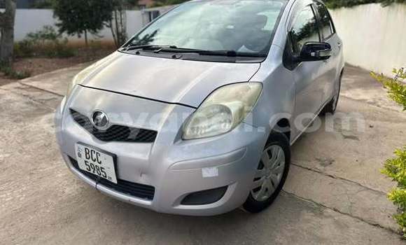 Buy Used Toyota Vitz Other Car in Lusaka in Zambia Buy Used Toyota Vitz Other Car in Lusaka in Zambia