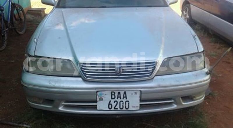 Big with watermark 56306768 1993267904132628 2109046005688172544 n