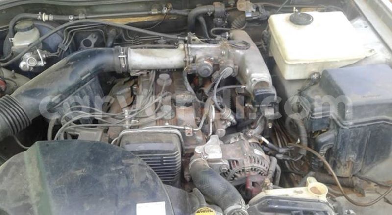 Big with watermark 55845459 1993268110799274 6154626442257760256 n