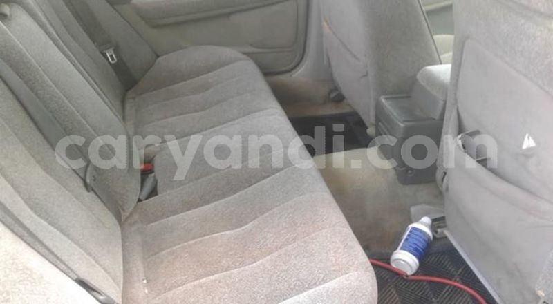 Big with watermark 55853855 1993268077465944 6785181195257774080 n