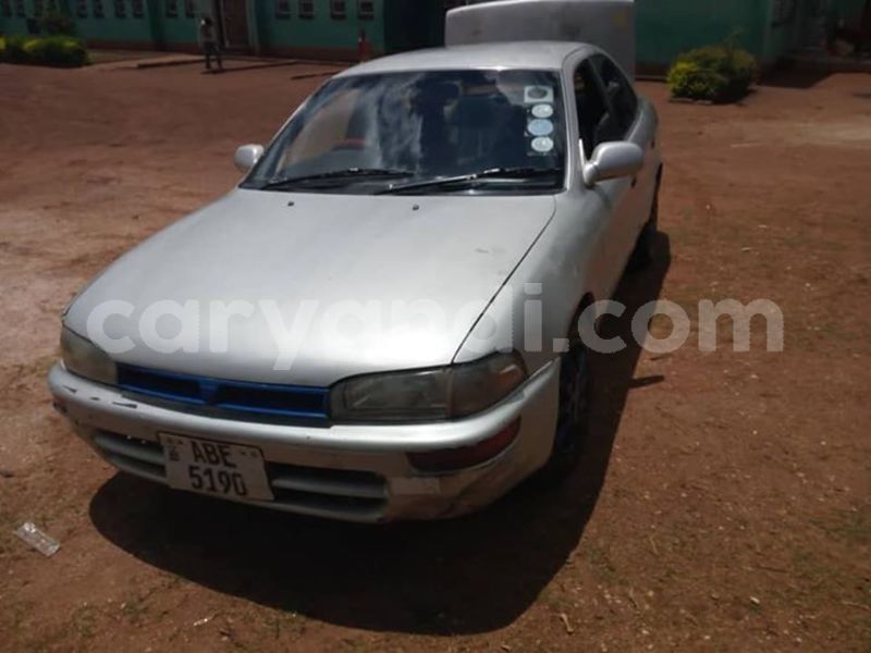 Big with watermark 48386729 1843160395810047 2054639516056027136 n