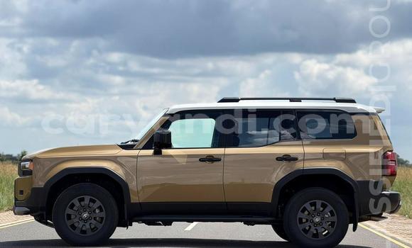 Buy Used Toyota Land Cruiser Brown Car in Lusaka in Zambia Buy Used Toyota Land Cruiser Brown Car in Lusaka in Zambia