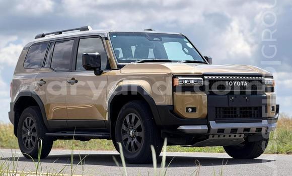 Buy Used Toyota Land Cruiser Brown Car in Lusaka in Zambia Buy Used Toyota Land Cruiser Brown Car in Lusaka in Zambia