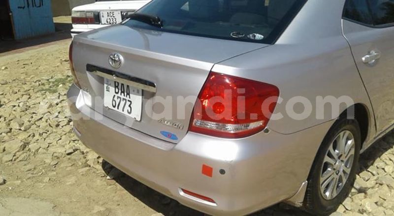 Big with watermark 46098142 1797571287035625 5570653371246837760 n