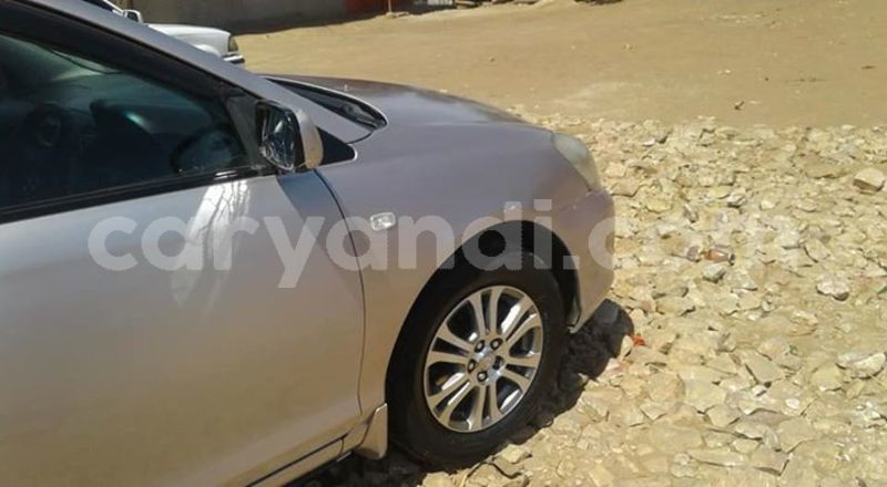 Big with watermark 46040711 1797571447035609 4172049133034536960 n