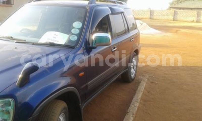 Big with watermark 22089233 1335410529918372 5968668496698321525 n