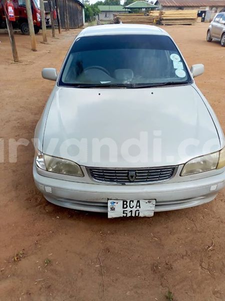 Big with watermark 56811438 222260328753207 6367941550701281280 n